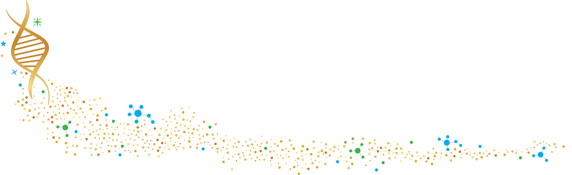 Lifestream Nutritionals | Nutritional Supplements - Vestal NY